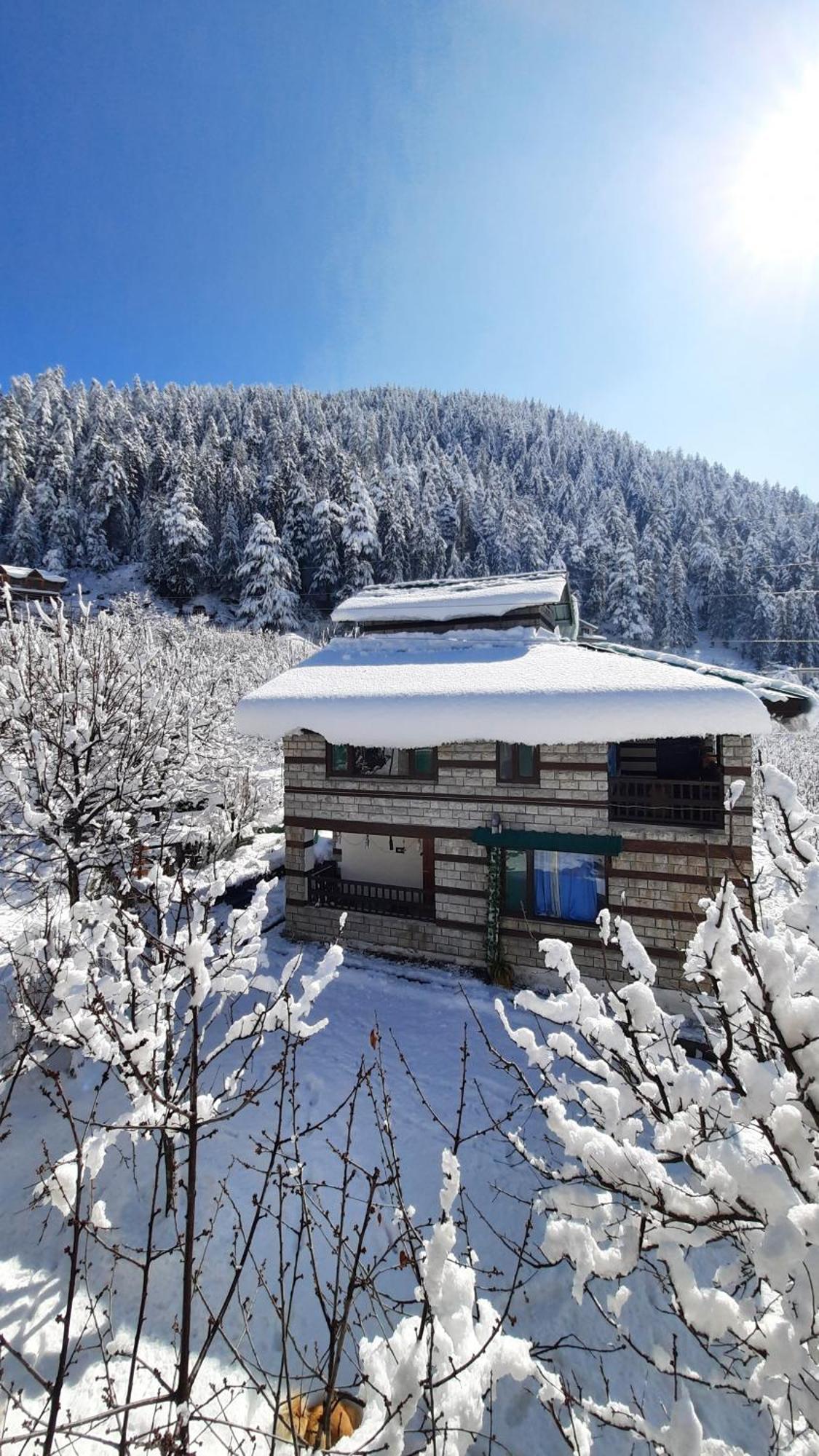 The Hideout - Hiraeth Hostel Manāli Kültér fotó